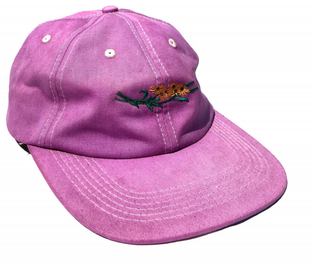 CAPS — Past Seasons — Carpet Company